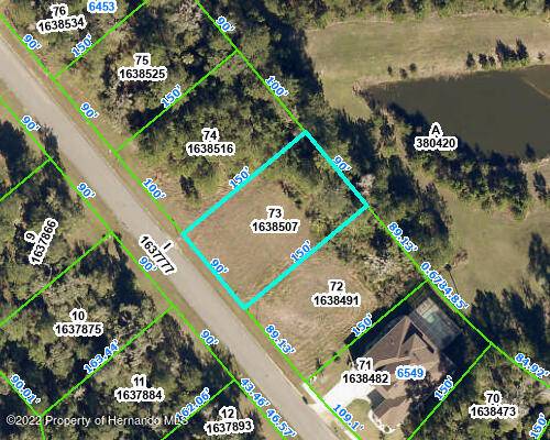 6513 Summit View Drive, Brooksville, FL 34601