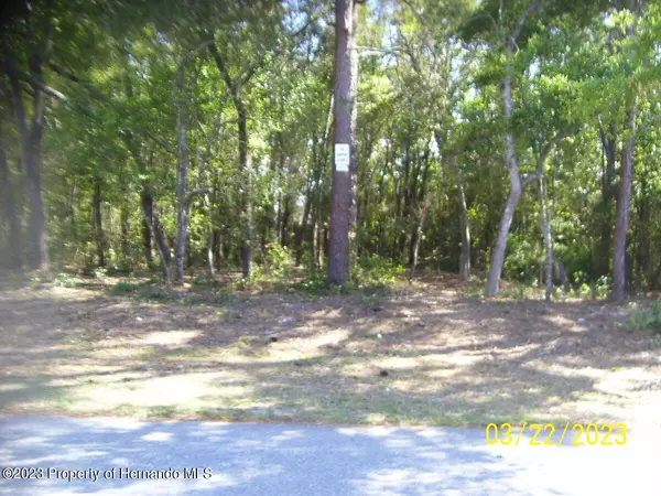 0 Trout Circle, Spring Hill, FL 34609