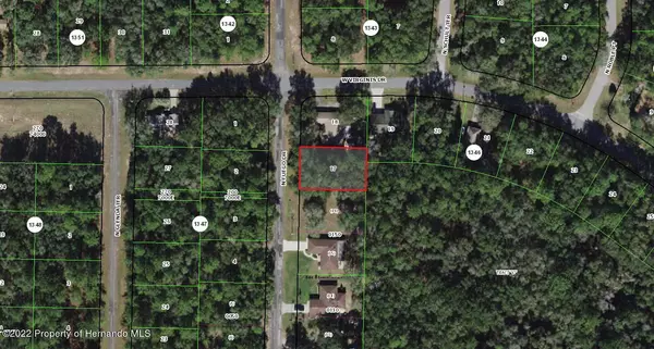 Citrus Springs, FL 34434,11187 N Fuego Drive