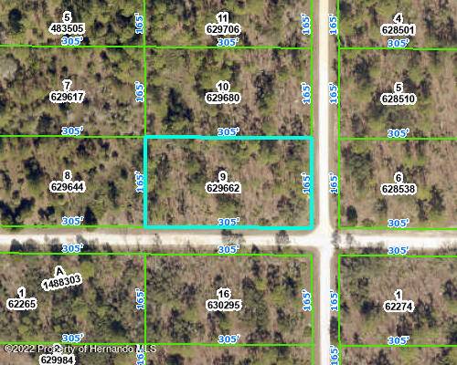 9 YELLOWBIRD Avenue, Weeki Wachee, FL 34614