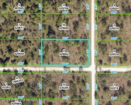 9 YELLOWBIRD Avenue, Weeki Wachee, FL 34614