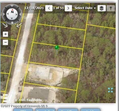 15016 MOUNT IVY Road, Brooksville, FL 34614