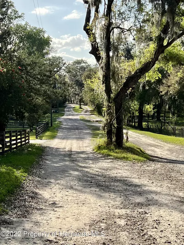 Floral City, FL 34436,13232 S Coloxa Point