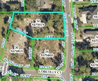 Weeki Wachee, FL 34607,6143 Waters Way