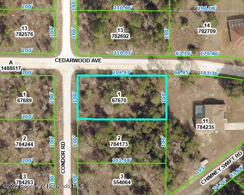 CEDARWOOD Avenue, Brooksville, FL 34614