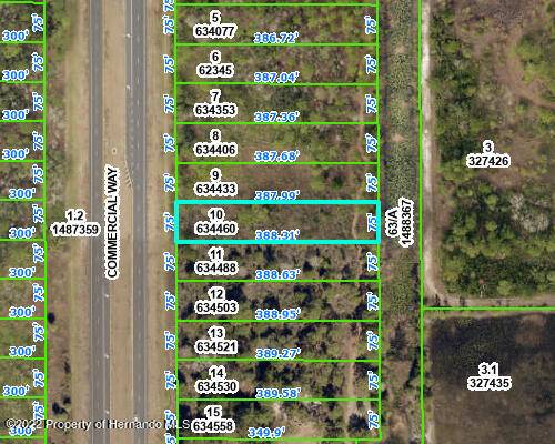 10 Commercial Way, Weeki Wachee, FL 34614