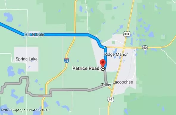 Ridge Manor, FL 33523,0 Patrice Road