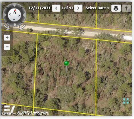 10194 YELLOW FROG Avenue, Brooksville, FL 34614