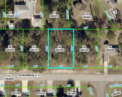 0 Auburndale Street, Spring Hill, FL 34609