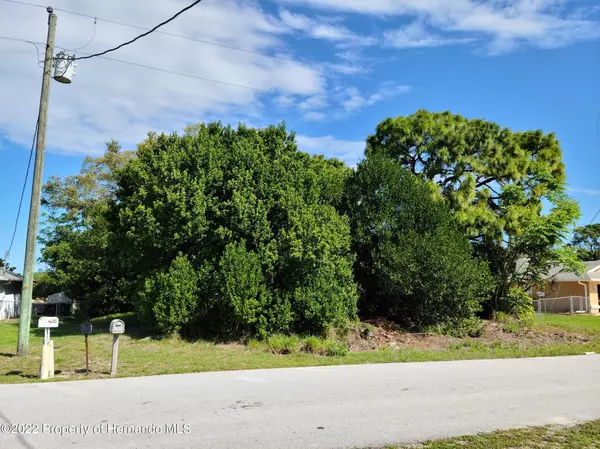 Spring Hill, FL 34608,Montcalm Road