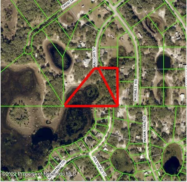 Weeki Wachee, FL 34613,Mallory St Lot 5 & 6