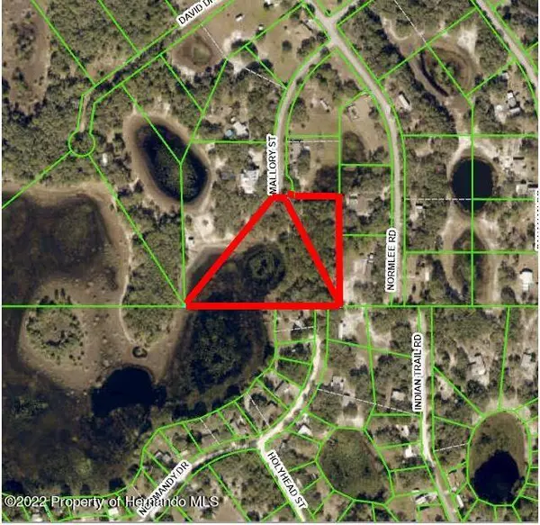 Mallory St Lot 5 & 6, Weeki Wachee, FL 34613