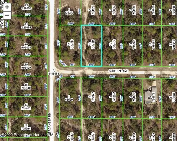 13 Squeeze Avenue, Weeki Wachee, FL 34614