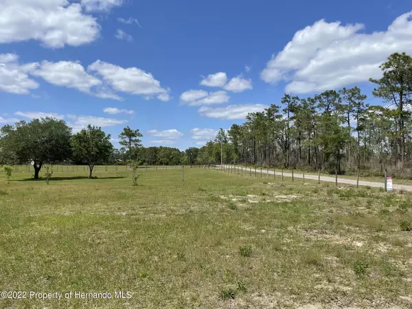 Brooksville, FL 34602,7429 High Corner Road