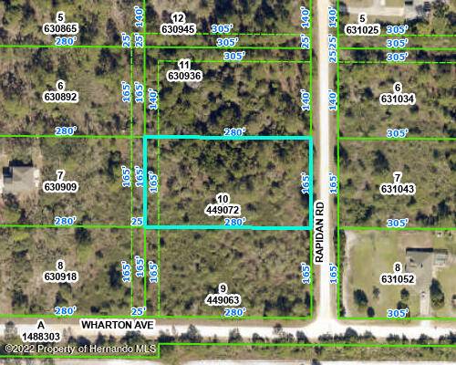 10 RAPIDAN Road, Weeki Wachee, FL 34614