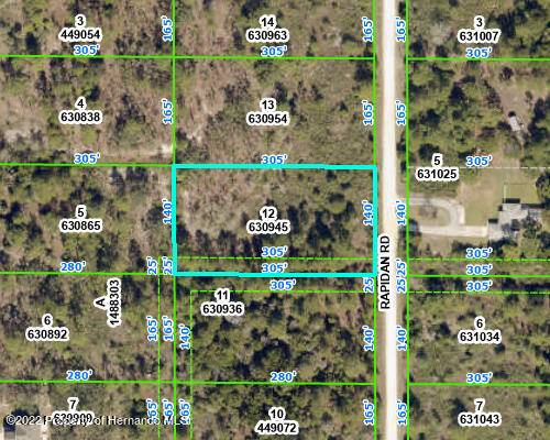 12 RAPIDAN Road, Weeki Wachee, FL 34614