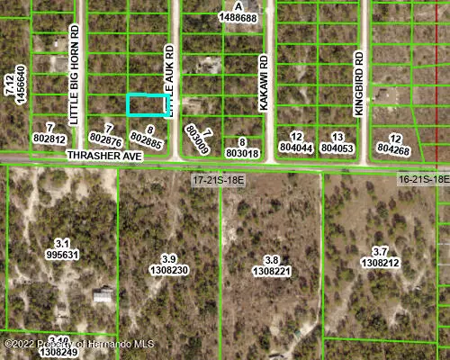 Weeki Wachee, FL 34614,16247 Little Auk Road