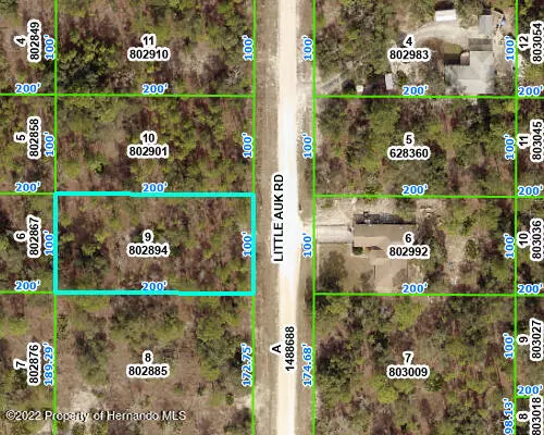 Weeki Wachee, FL 34614,16247 Little Auk Road