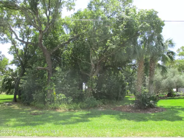 Spring Hill, FL 34609,Glenridge Drive