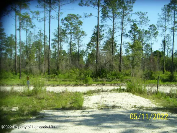 Brooksville, FL 34614,0 Greenback Road