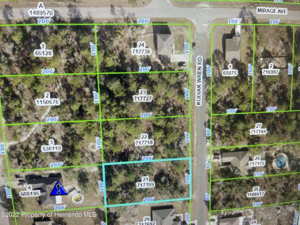 Kodiak Wren Road, Brooksville, FL 34614