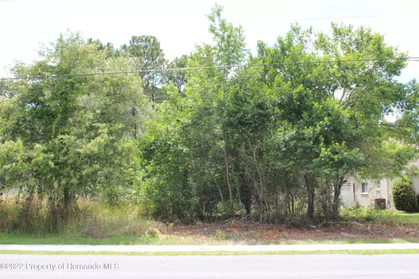 Jason Road, Spring Hill, FL 34608