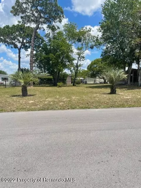 0 Dehaven Avenue, Brooksville, FL 34613