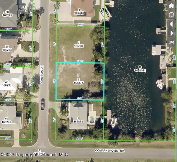 4104 Camelia Drive, Hernando Beach, FL 34607