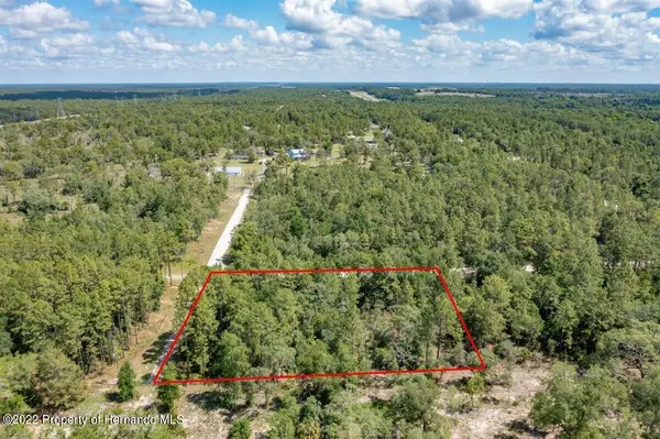 Weeki Wachee, FL 34614,14360 Canvasback Road