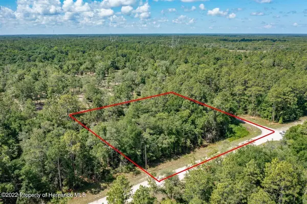 Weeki Wachee, FL 34614,14360 Canvasback Road