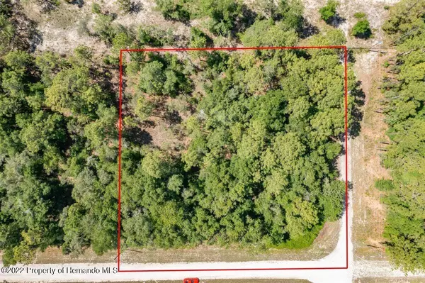 Weeki Wachee, FL 34614,14360 Canvasback Road