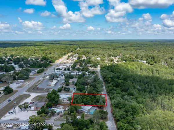 Weeki Wachee, FL 34613,7080 Forsythe Street