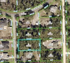 Weeki Wachee, FL 34613,Ovenbird Road