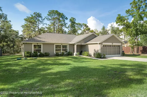 Weeki Wachee, FL 34613,11045 Maybird Avenue