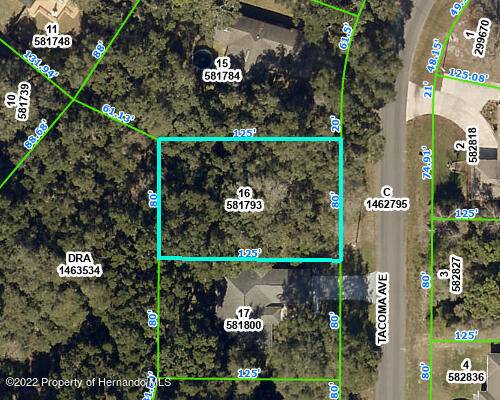 Tacoma Avenue, Spring Hill, FL 34609