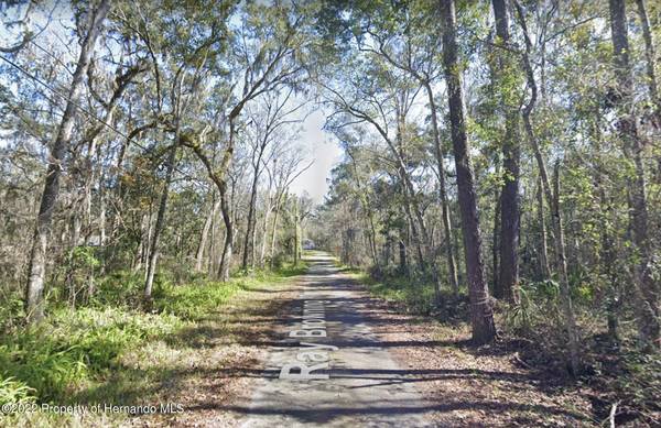 Ray Browning Road, Brooksville, FL 34601