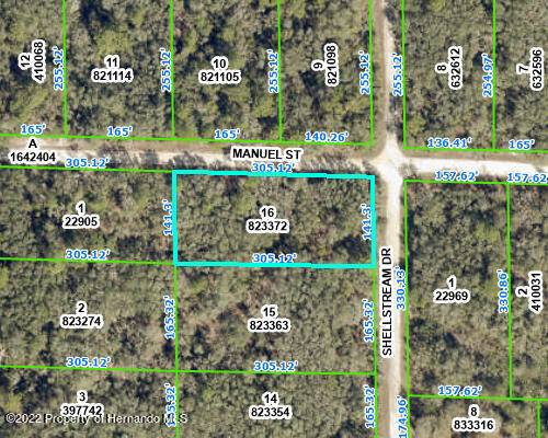 0 Manuel Street, Webster, FL 33597