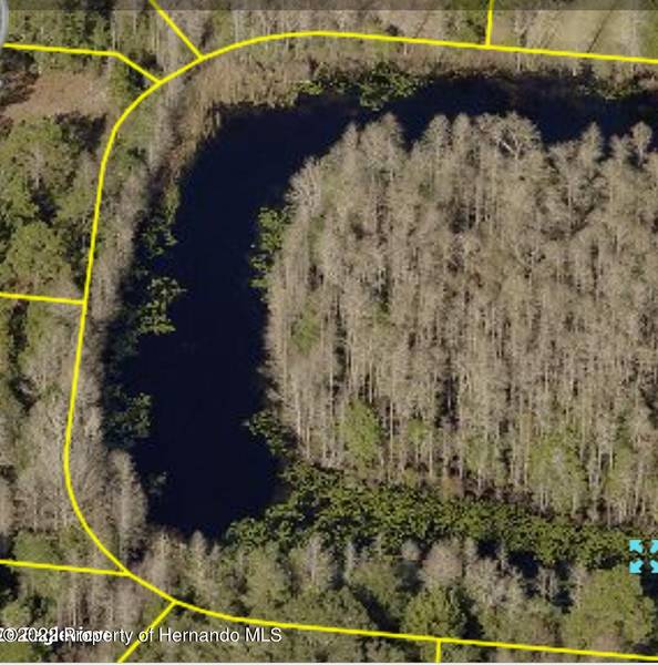 18322 RAMSEY Road, Weeki Wachee, FL 34614