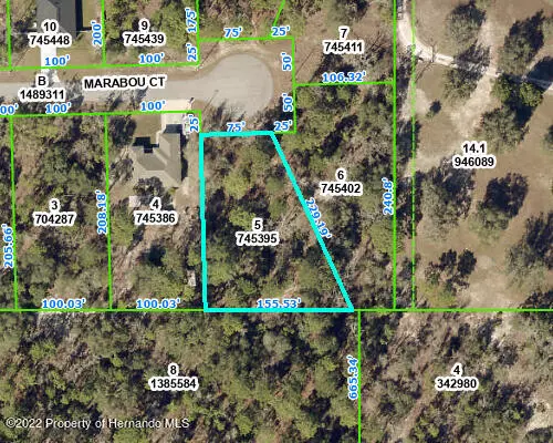 Weeki Wachee, FL 34614,5 MARABOU Court