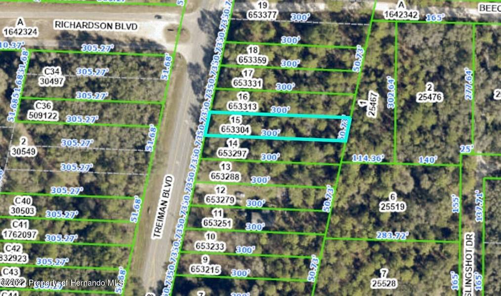 Treiman Boulevard, Webster, FL 33597