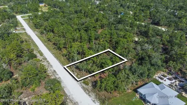 Weeki Wachee, FL 34614,13236 Sea Eagle Avenue