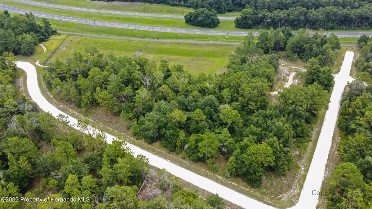 Weeki Wachee, FL 34614,0 Honeycreeper Road