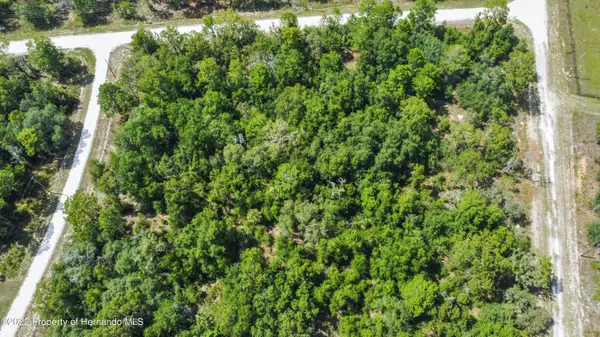 Weeki Wachee, FL 34614,0 Curlew Road