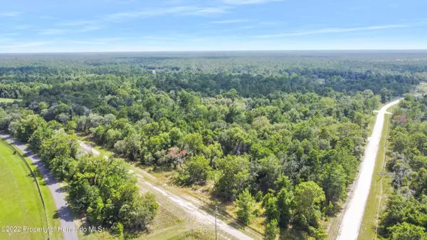 Weeki Wachee, FL 34614,0 Curlew Road