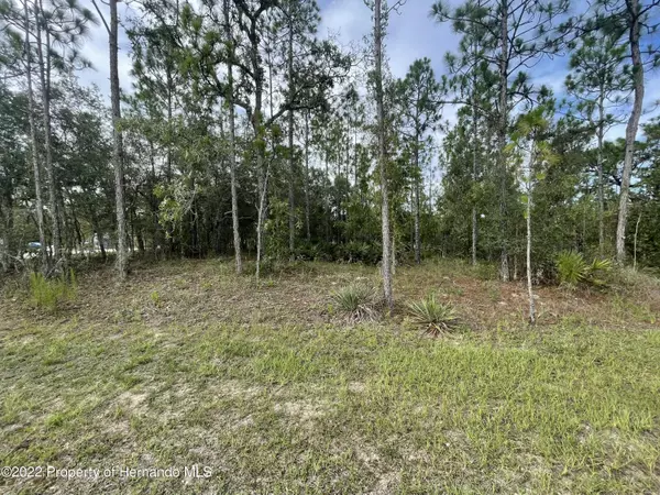 0 Chickadee Road, Weeki Wachee, FL 34613