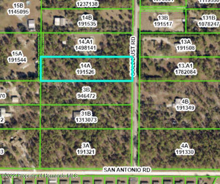 Golddust Road, Spring Hill, FL 34609