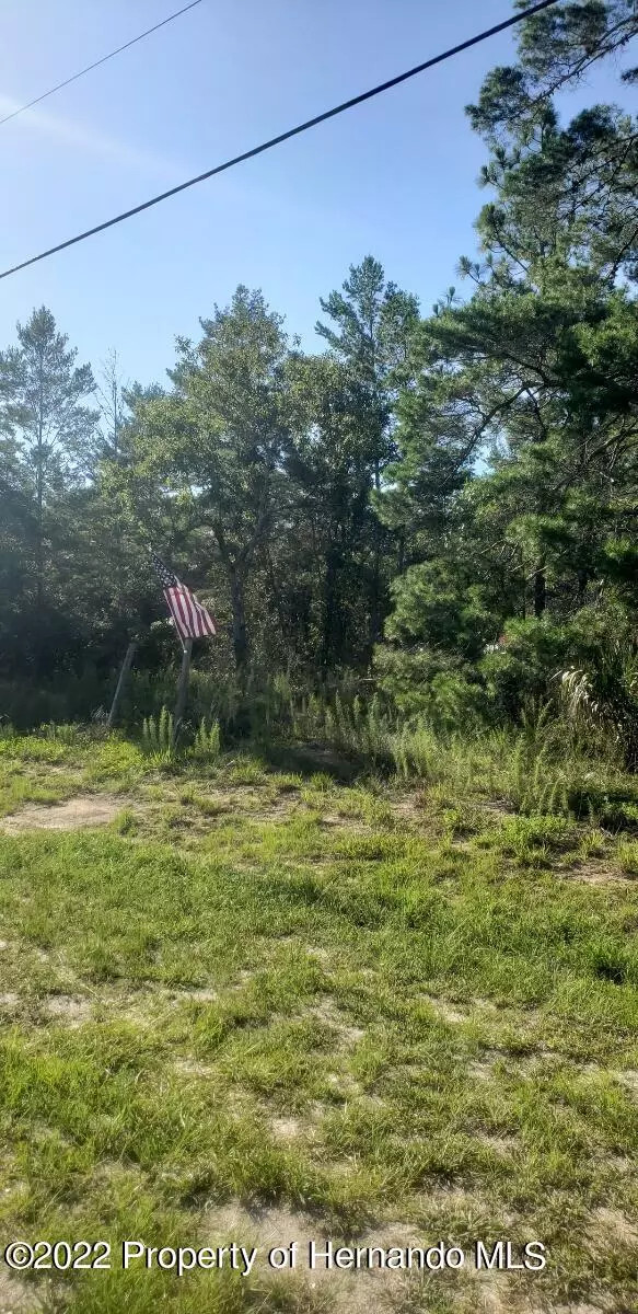 0 Centralia Road, Weeki Wachee, FL 34614