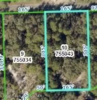 Weeki Wachee, FL 34614,12189 Jaybird Road