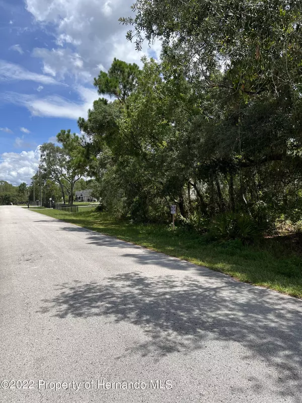 Mavis Road, Weeki Wachee, FL 34613