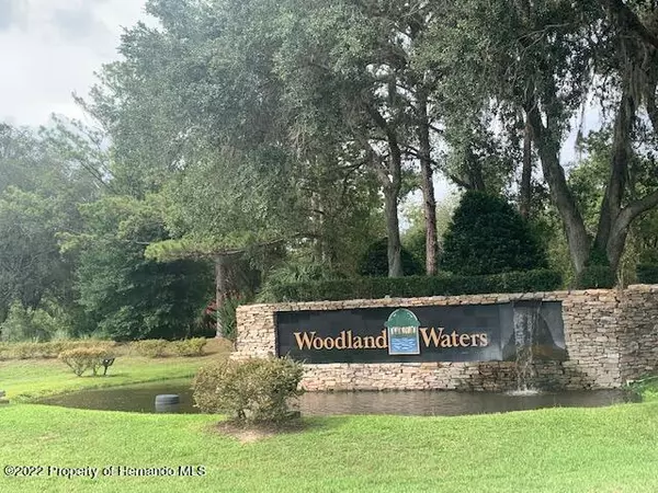 Weeki Wachee, FL 34613,9525 Whisper Ridge Trail